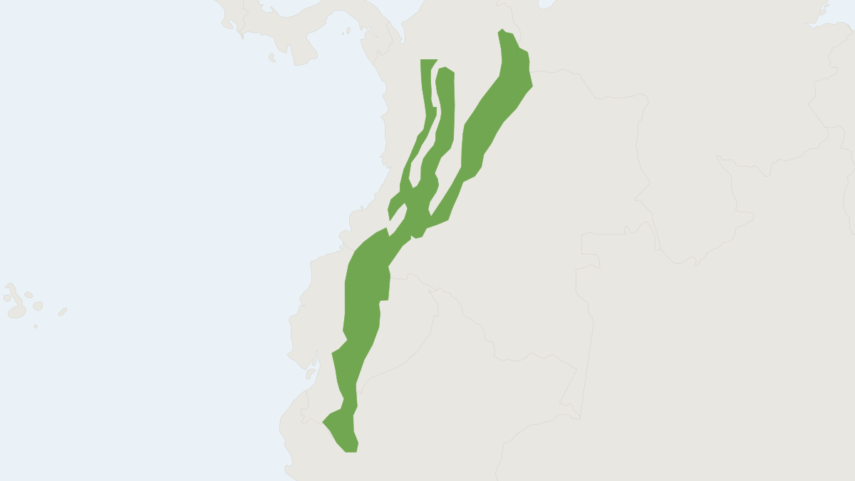 Range map of the Western Mountain Coati (Nasuella olivacea)