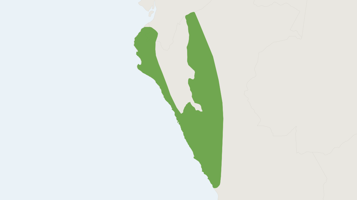 Range map of the Western Nectar Bat (Lonchophylla hesperia)