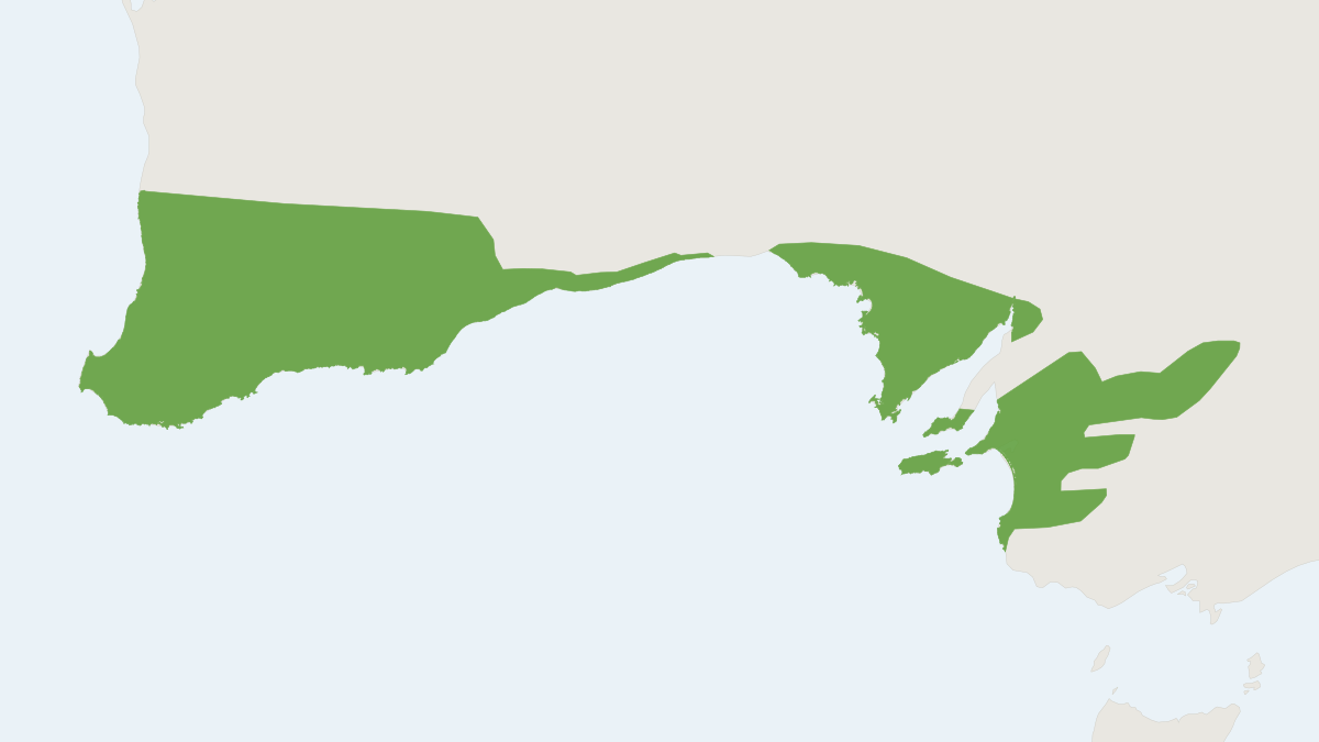 Range map of the Western Pygmy Possum (Cercartetus concinnus)