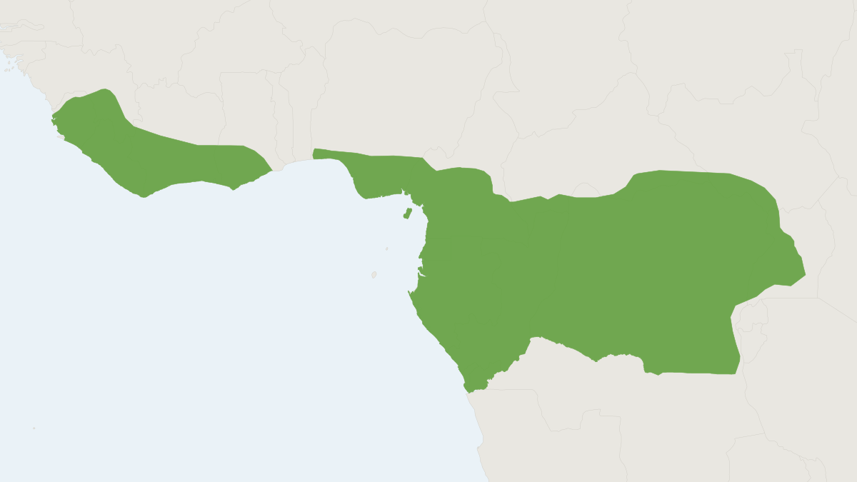Range map of the Western Tree Hyrax (Dendrohyrax dorsalis)