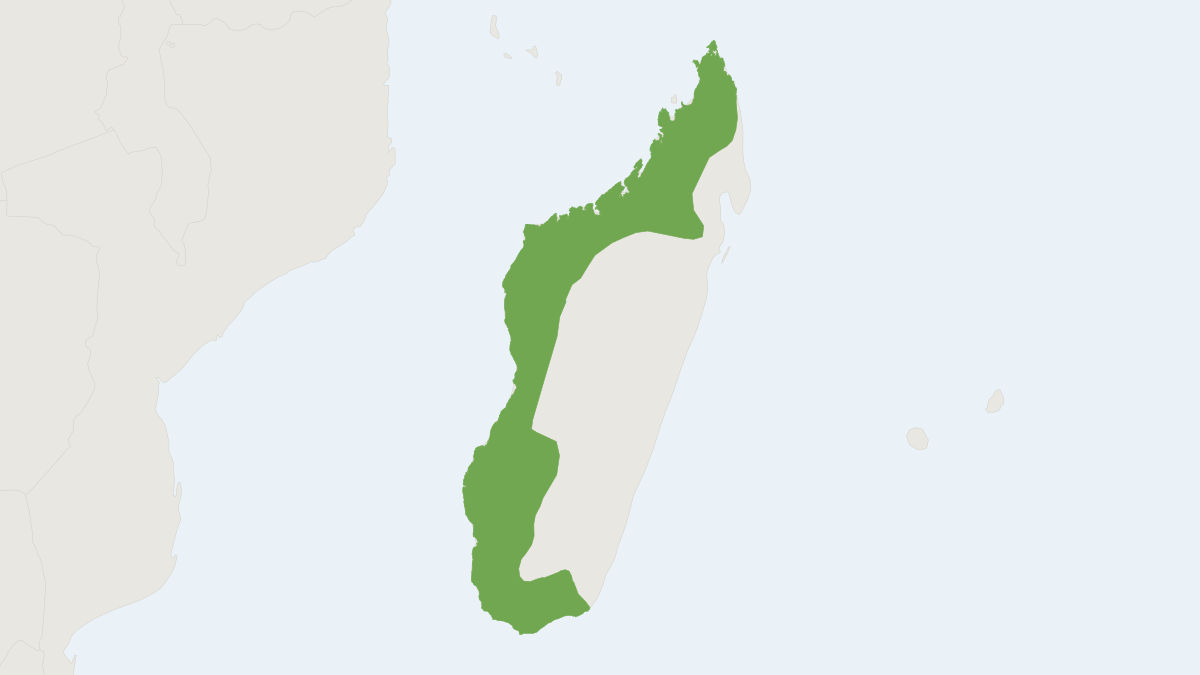 Range map of the Western Tuft-tailed Rat (Eliurus myoxinus)