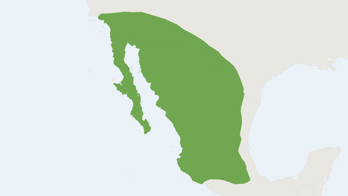 Range map of the Western Yellow Bat (Lasiurus xanthinus)