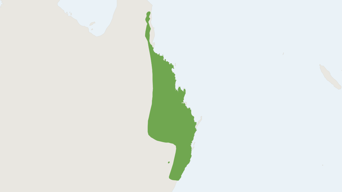 Range map of the Whiptail Wallaby (Notamacropus parryi)