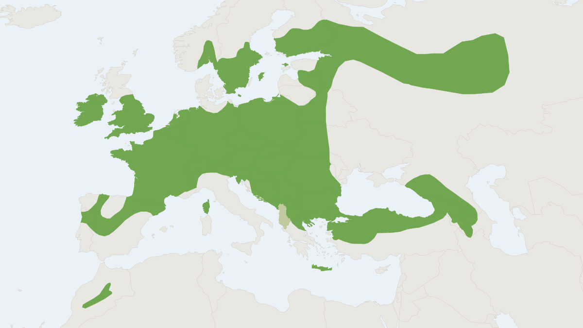Range map of the Whiskered Bat (Myotis mystacinus)