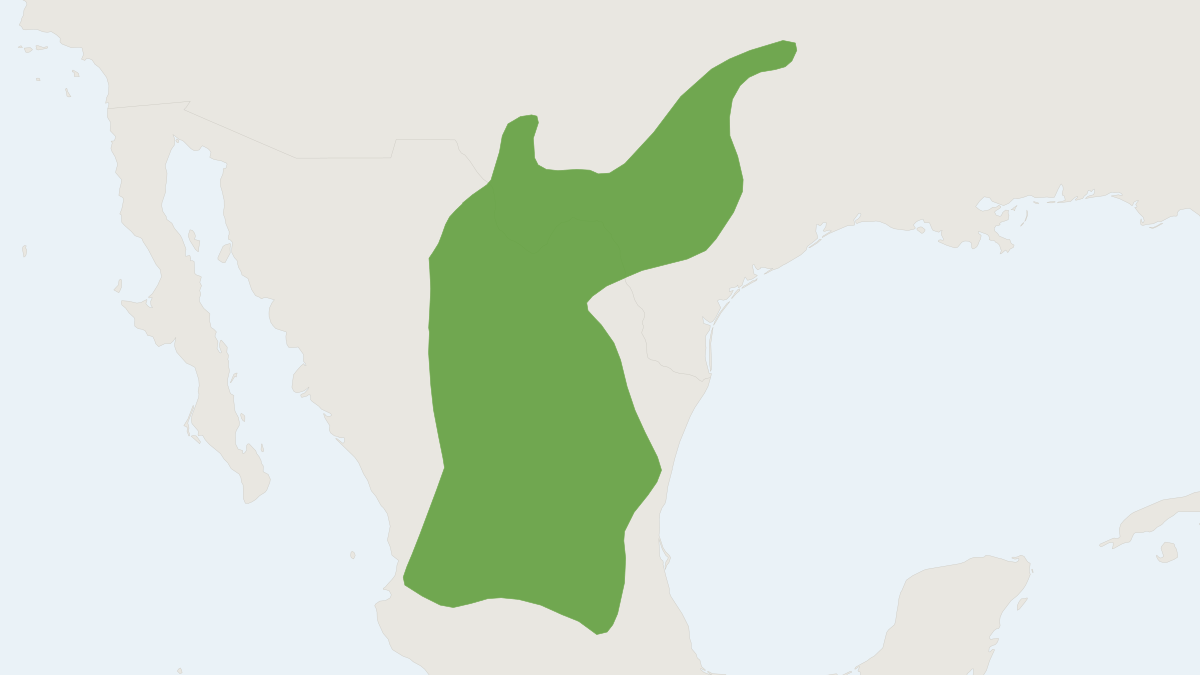 Range map of the White-ankled Mouse (Peromyscus pectoralis)