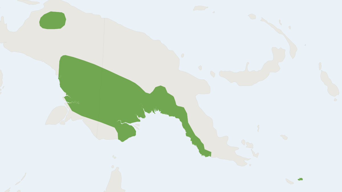 Range map of the White-bellied Melomys (Melomys leucogaster)