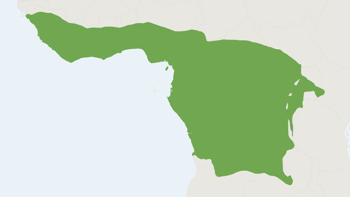 Range map of the White-bellied Pangolin (Phataginus tricuspis) covering Benin, Cameroon and Central African Republic