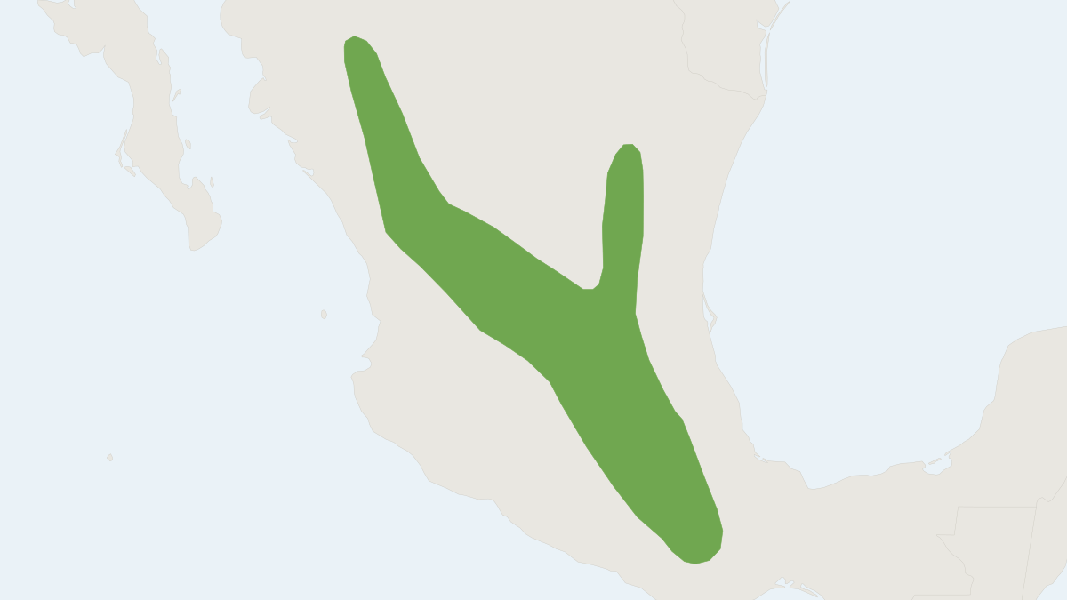 Range map of the White-eared Cotton Rat (Sigmodon leucotis)