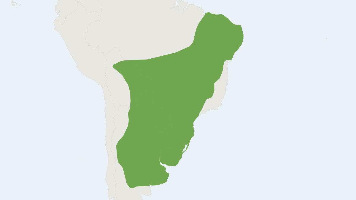 Range map of the White-eared Opossum (Didelphis albiventris)