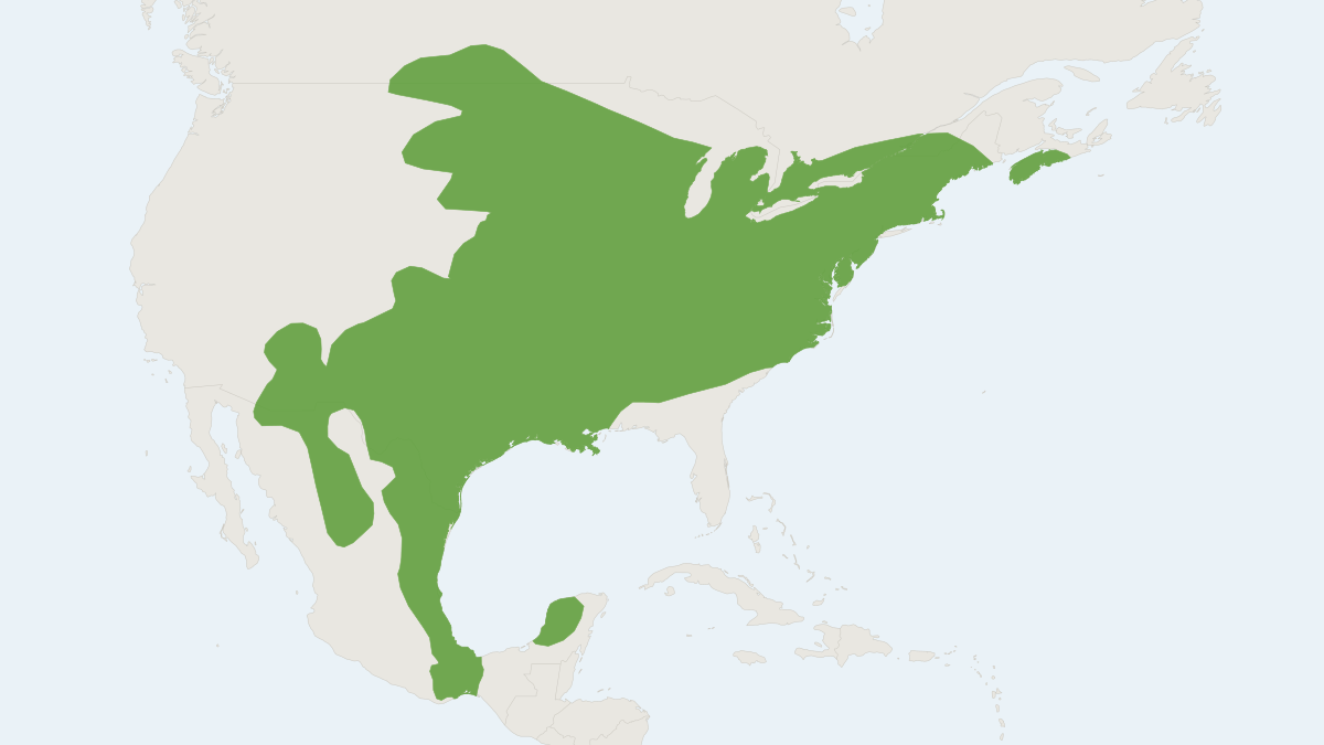 Range map of the White-footed Mouse (Peromyscus leucopus)