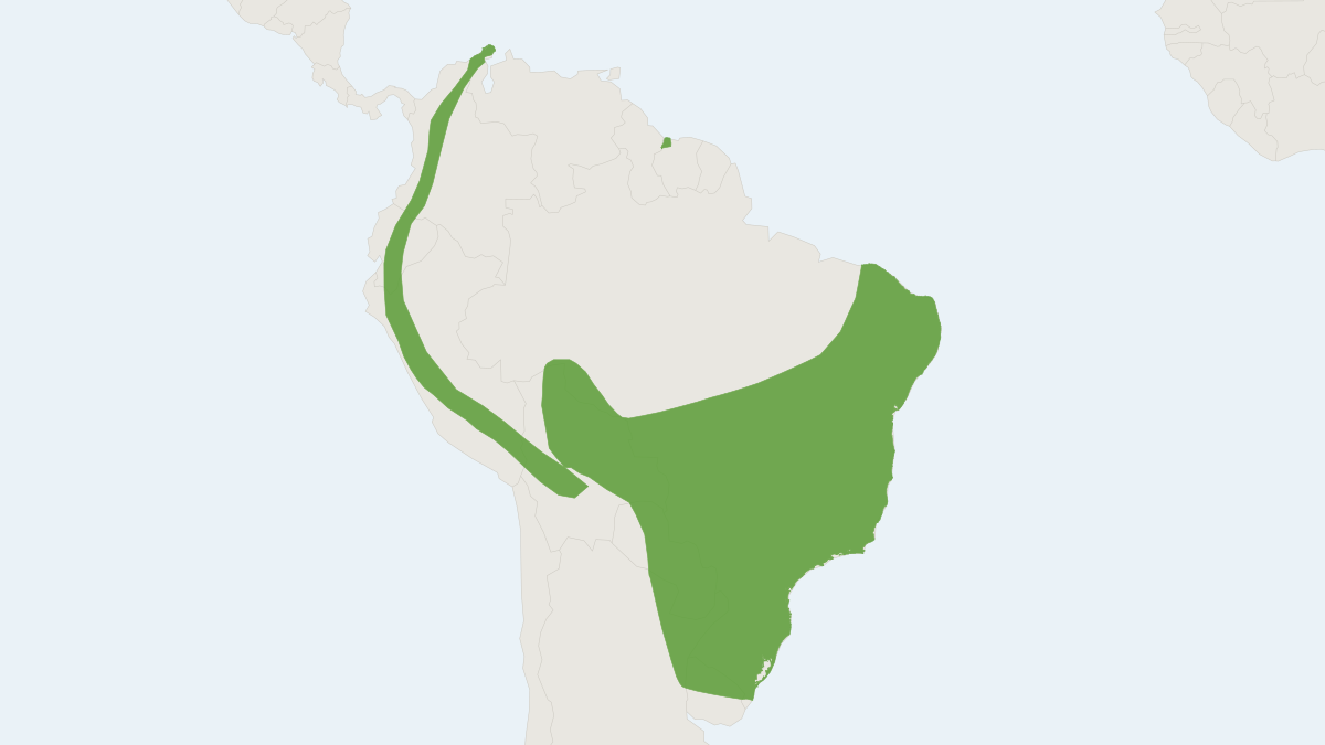Range map of the White-lined Bat (Platyrrhinus lineatus)