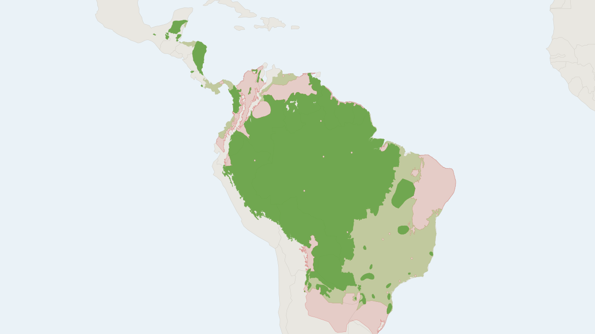 Range map of the White-lipped Peccary (Tayassu pecari)