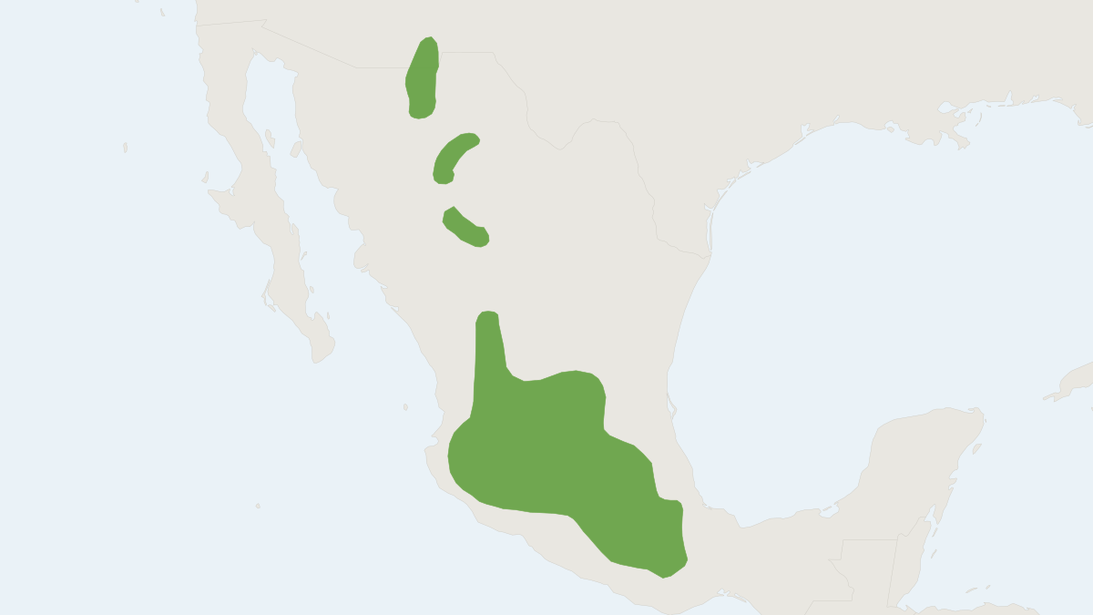 Range map of the White-sided Jackrabbit (Lepus callotis)