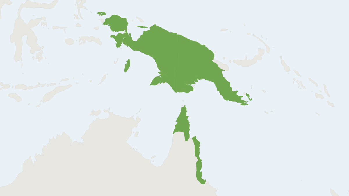 Range map of the White-tailed Giant Rat (Uromys caudimaculatus)