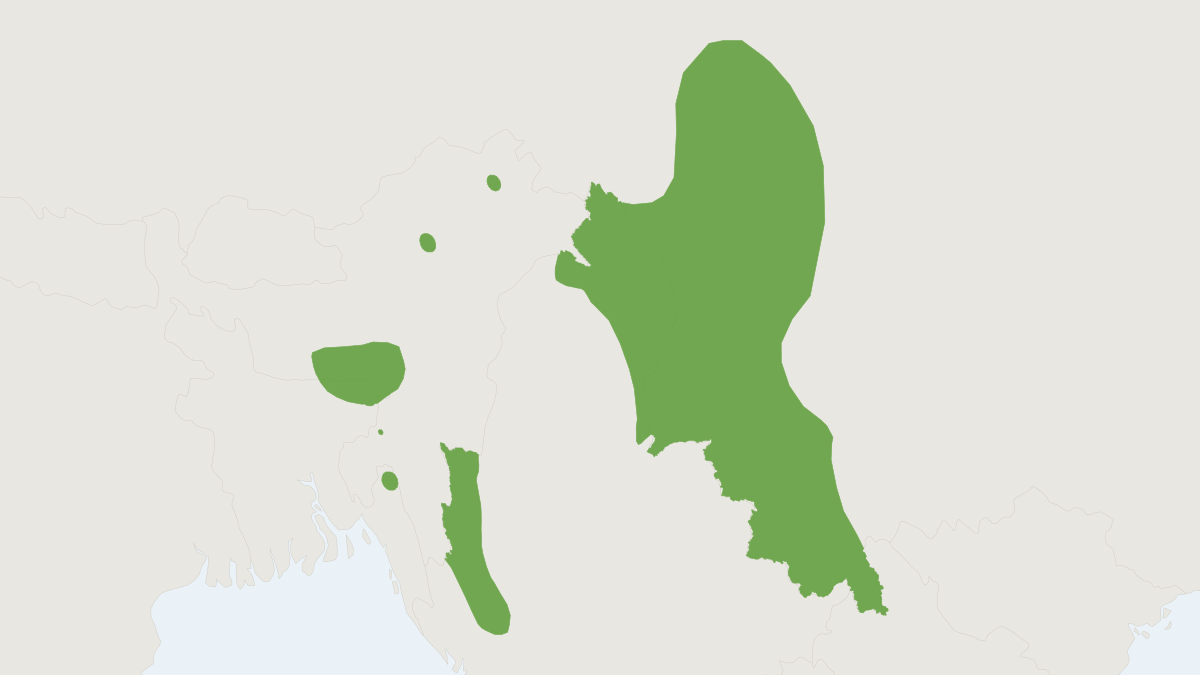 Range map of the White-tailed Mole (Parascaptor leucura)