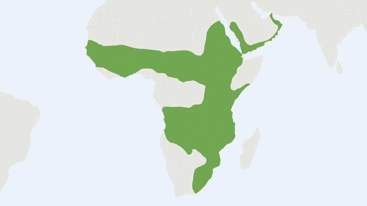 Range map of the White-tailed Mongoose (Ichneumia albicauda)