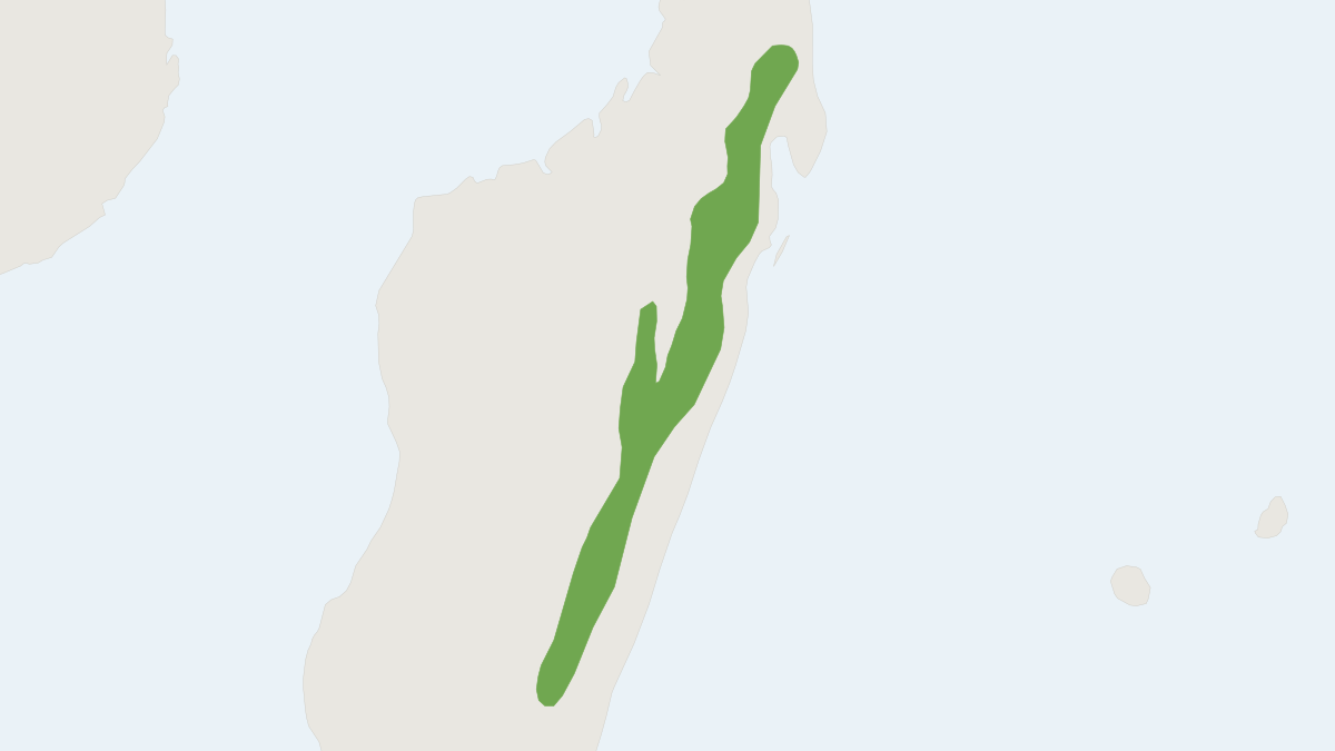 Range map of the White-tailed Tree Rat (Brachytarsomys albicauda) covering Madagascar