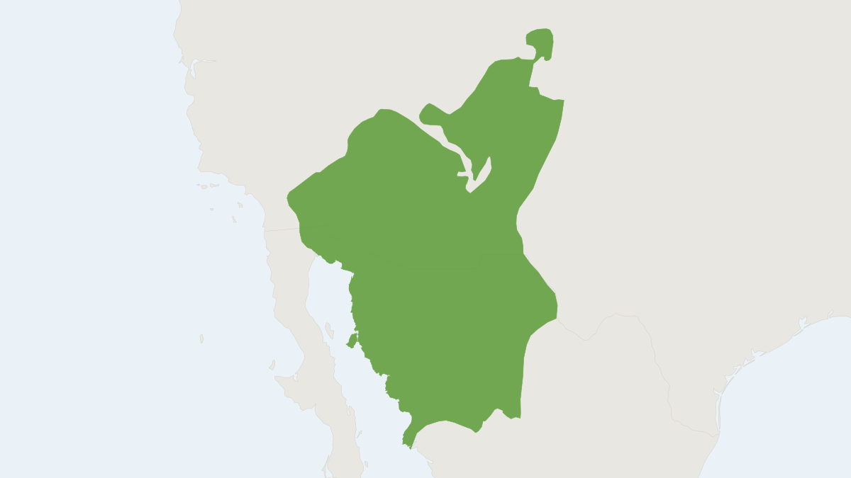 Range map of the White-throated Woodrat (Neotoma albigula)