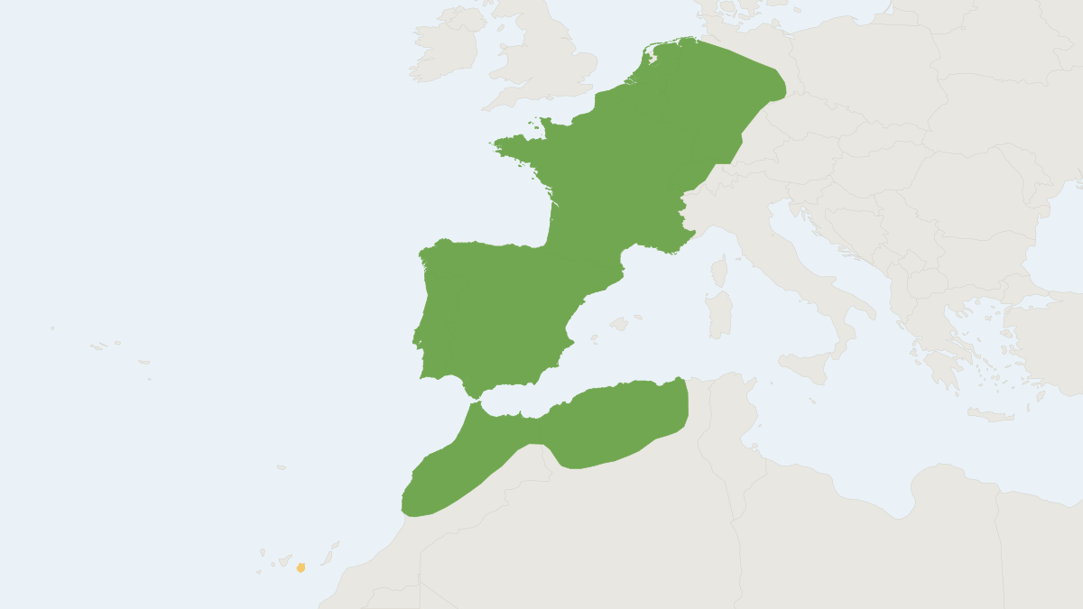 Range map of the White-toothed Shrew (Crocidura russula)