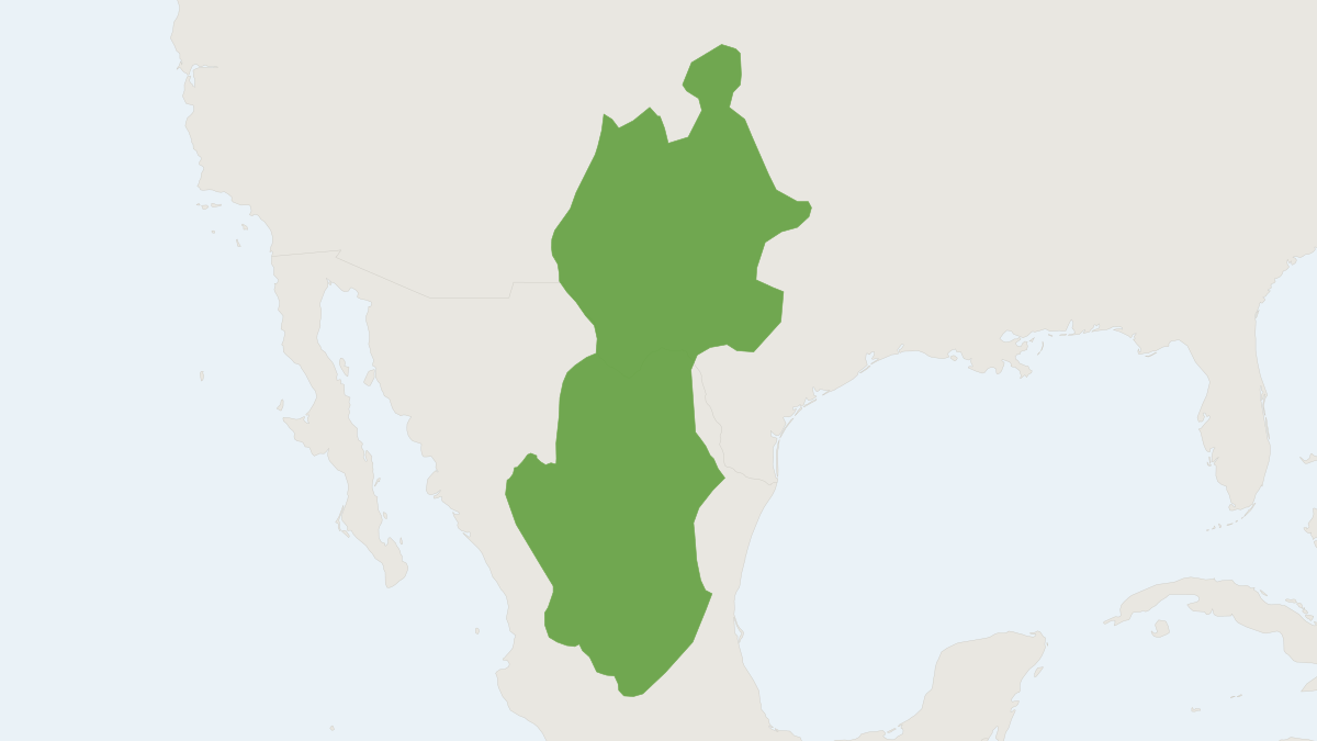 Range map of the White-toothed Woodrat (Neotoma leucodon)