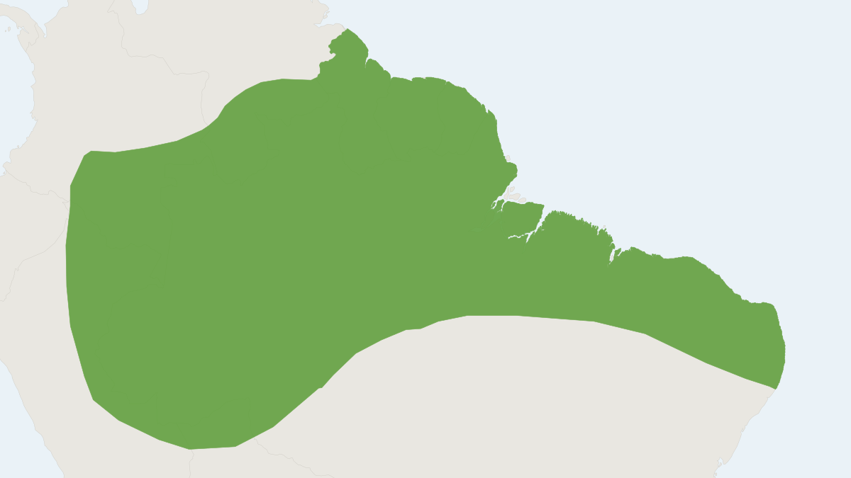 Range map of the White-winged Dog-like Bat (Peropteryx leucoptera)