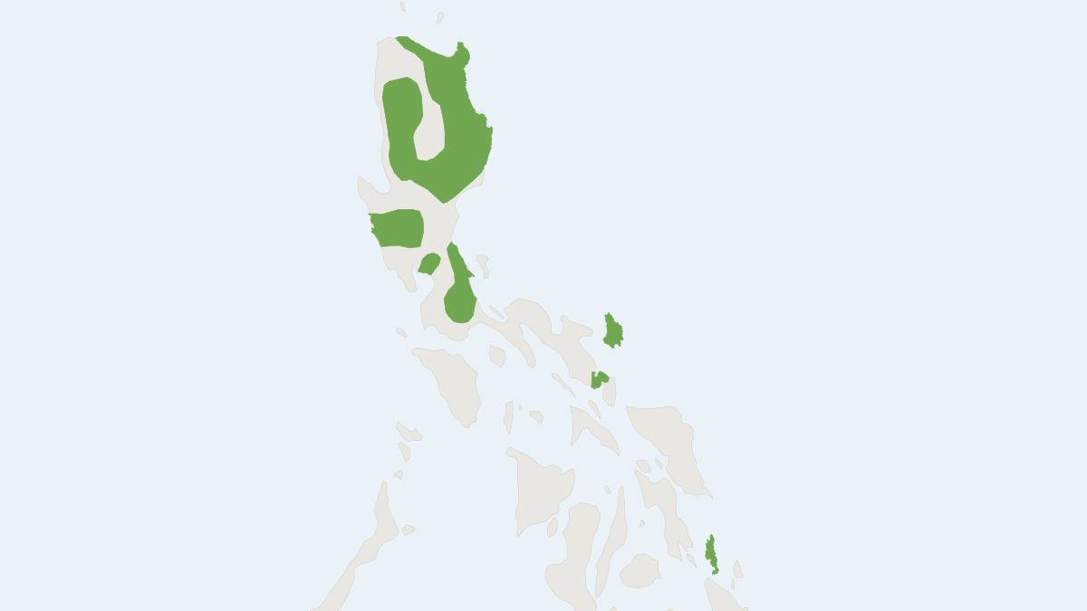 Range map of the White-winged Flying Fox (Desmalopex leucopterus)
