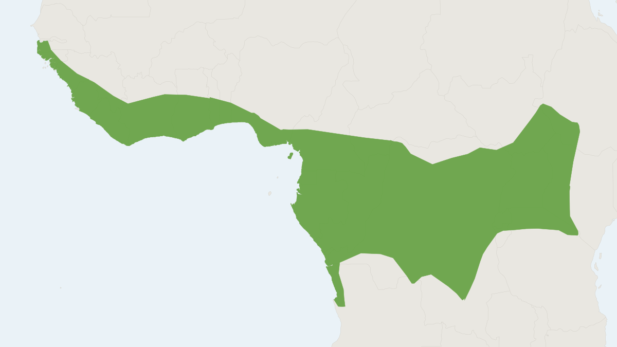 Range map of the White-winged Serotine (Pseudoromicia tenuipinnis)