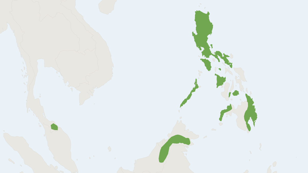 Range map of the Whitehead's Woolly Bat (Kerivoula whiteheadi)