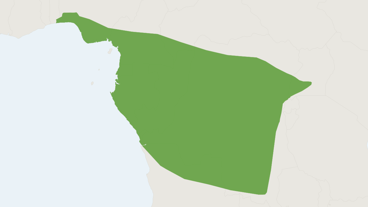 Range map of the Woermann's Bat (Megaloglossus woermanni)
