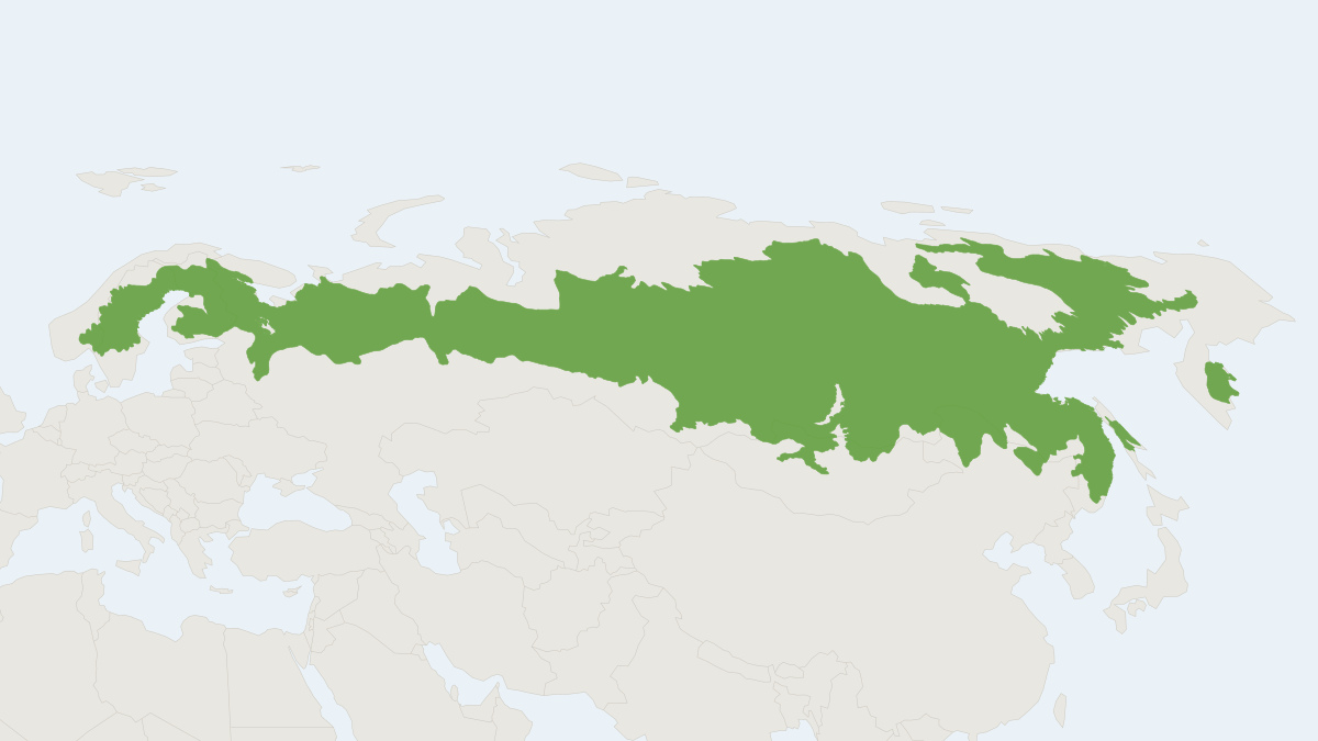 Range map of the Wood Lemming (Myopus schisticolor)