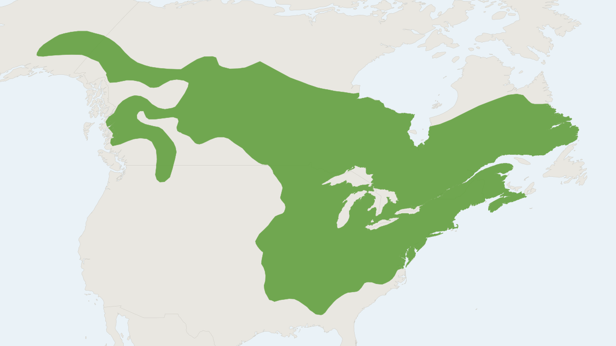 Range map of the Woodchuck (Marmota monax)