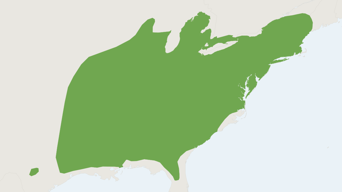 Range map of the Woodland Vole (Microtus pinetorum)