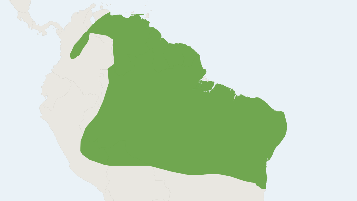 Range map of the Woolly Mouse Opossum (Marmosa demerarae)