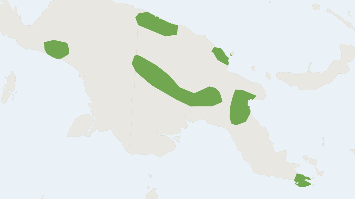 Range map of the Wright's Happy Tube-nosed Fruit Bat (Nyctimene wrightae)