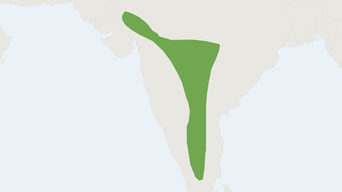 Range map of the Wroughton’s Small Spiny Mouse (Mus phillipsi)
