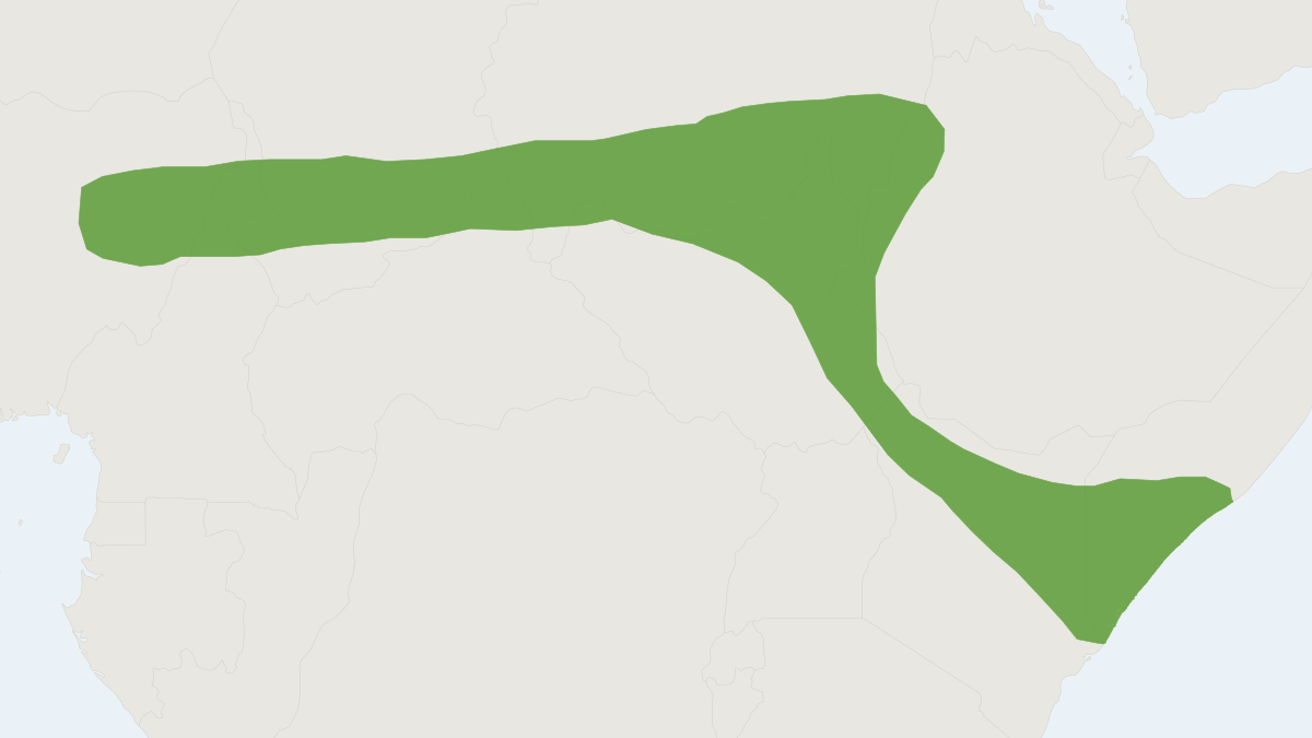 Range map of the Yankari Shrew (Crocidura yankariensis)