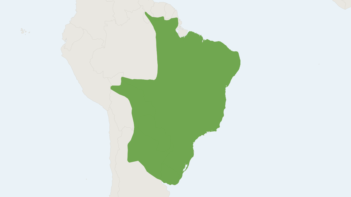 Range map of the Yellow Armadillo (Euphractus sexcinctus)