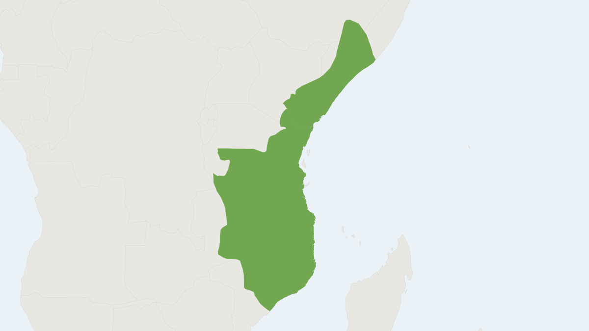 Range map of the Yellow Baboon (Papio cynocephalus)