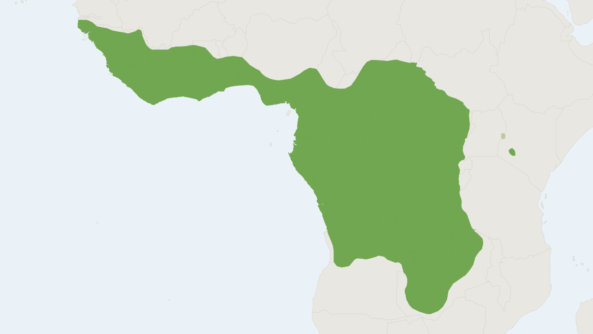 Range map of the Yellow-backed Duiker (Cephalophus silvicultor) covering Cameroon, Central African Republic and Democratic Re