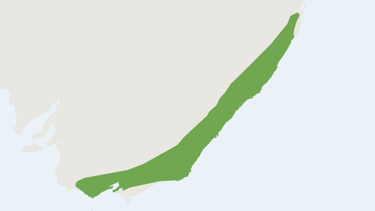 Range map of the Yellow-bellied Glider (Petaurus australis)