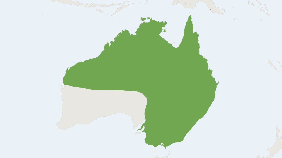 Range map of the Yellow-bellied Sheath-tailed Bat (Saccolaimus flaviventris)