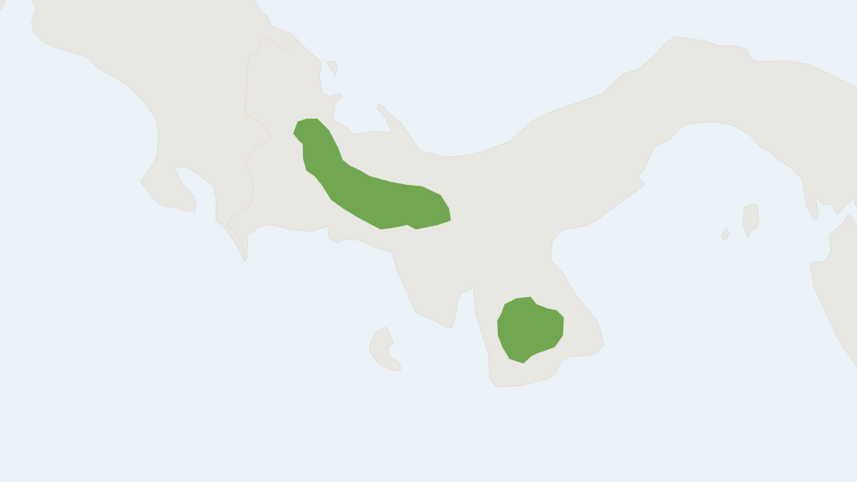 Range map of the Yellow Isthmus Rat (Isthmomys flavidus)