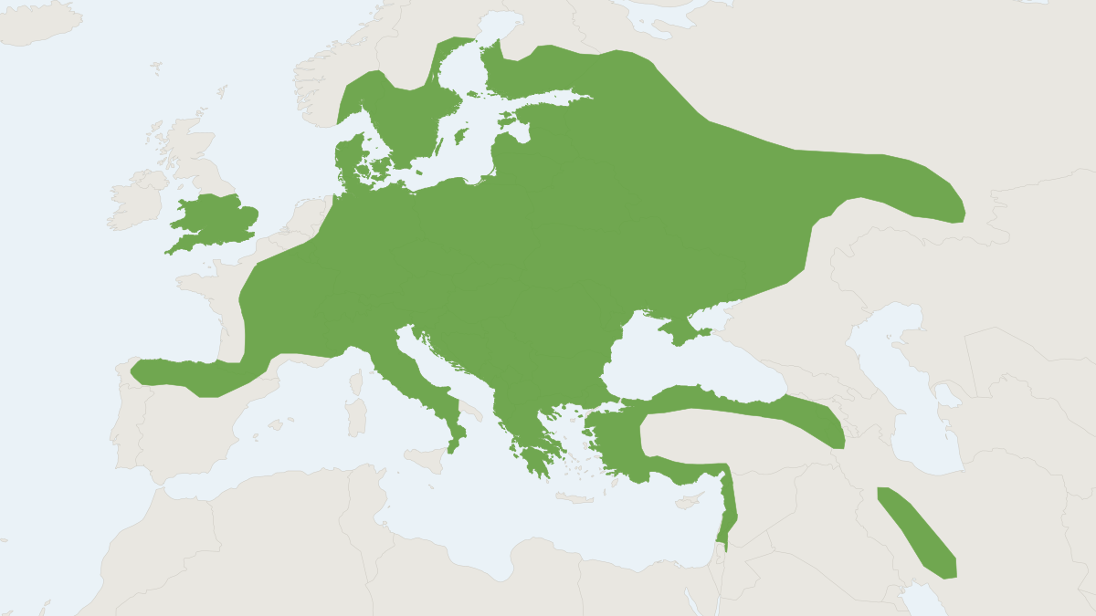 Range map of the Yellow-necked Field Mouse (Apodemus flavicollis) covering Austria, Czechia and France