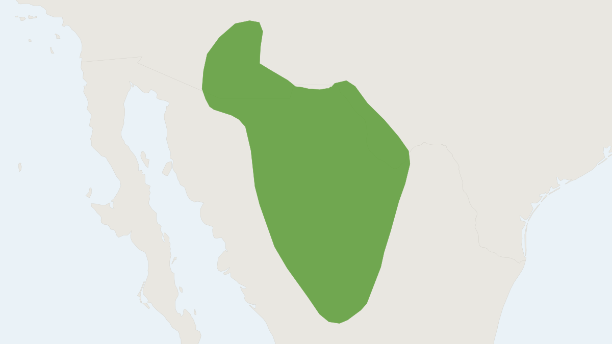 Range map of the Yellow-nosed Cotton Rat (Sigmodon ochrognathus)