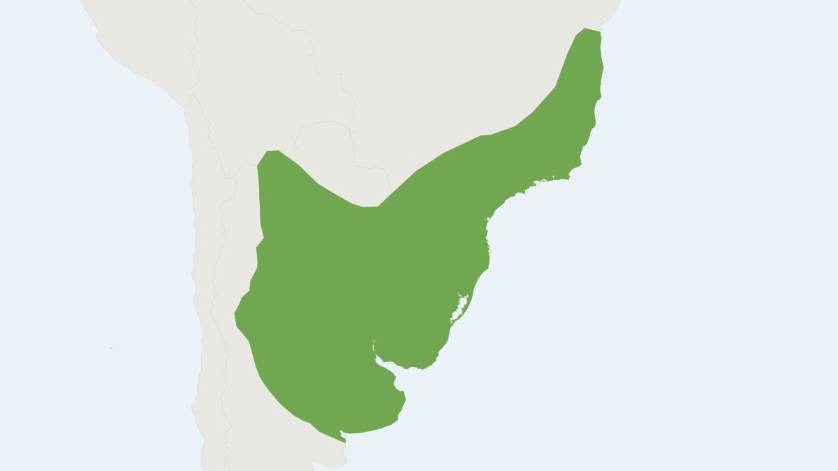 Range map of the Yellow Pygmy Rice Rat (Oligoryzomys flavescens)