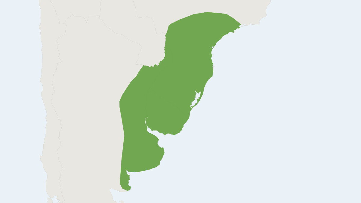 Range map of the Yellowish Myotis (Myotis levis)