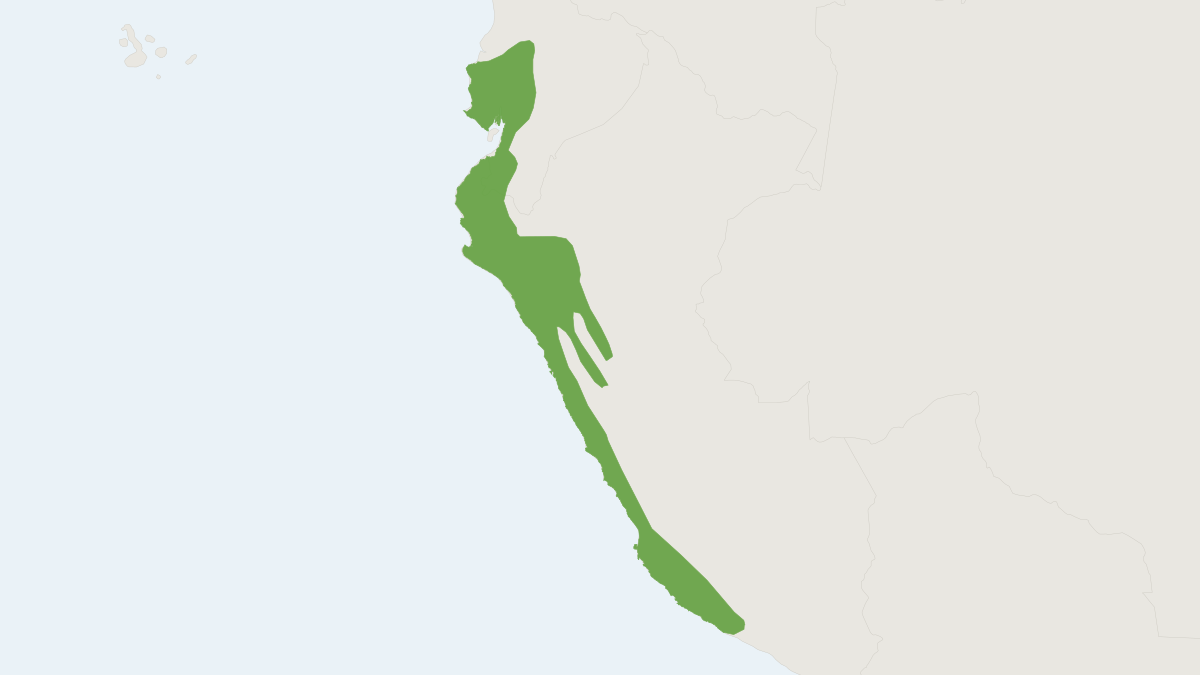 Range map of the Yellowish Rice Rat (Aegialomys xanthaeolus)