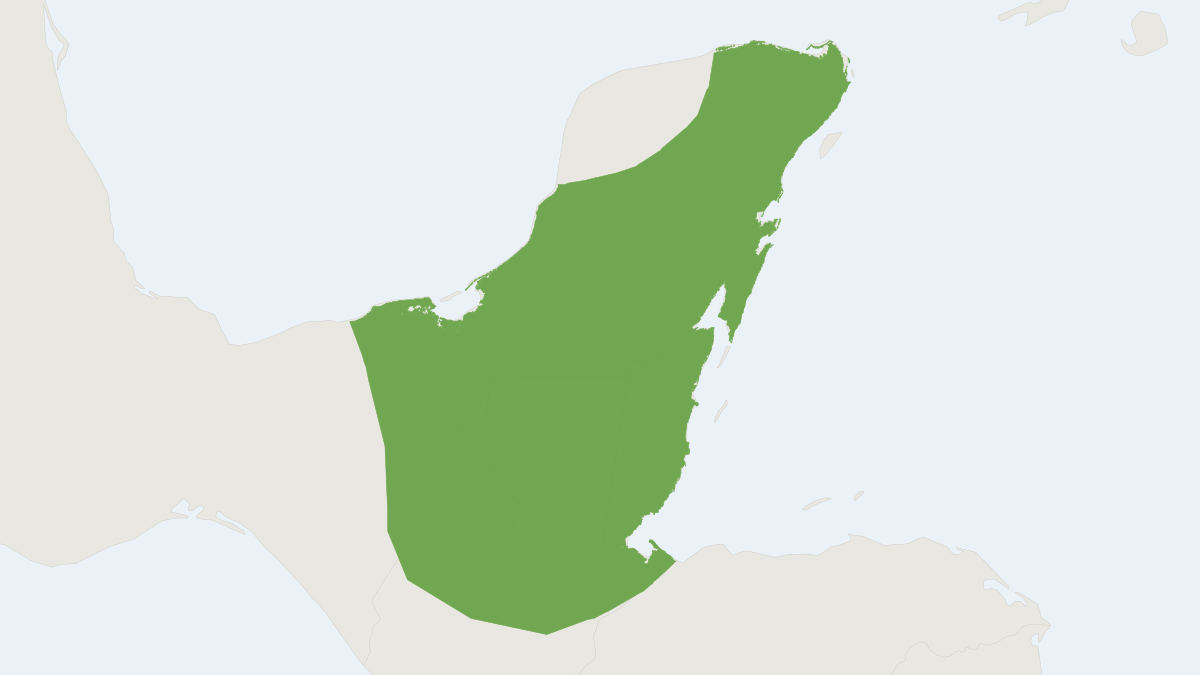 Range map of the Yucatán Black Howler Monkey (Alouatta pigra) covering Belize, Guatemala and Mexico