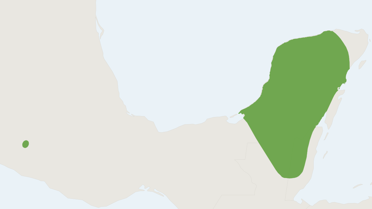 Range map of the Yucatan Small-eared Shrew (Cryptotis mayensis)