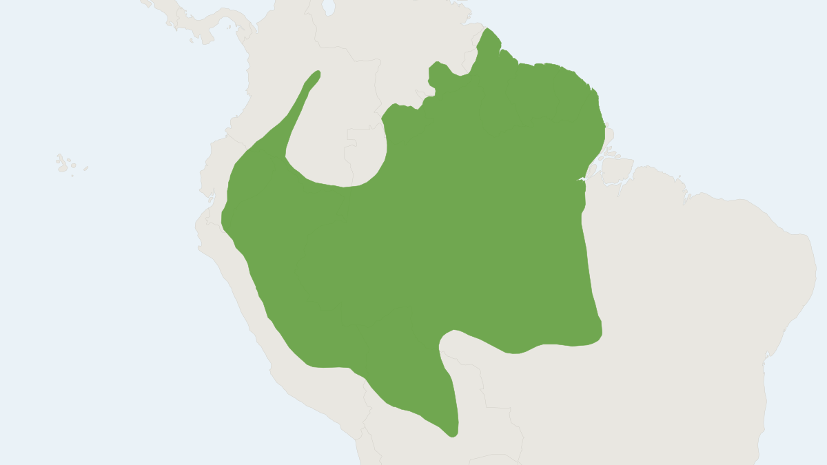 Range map of the Yungas Rice Rat (Hylaeamys yunganus)